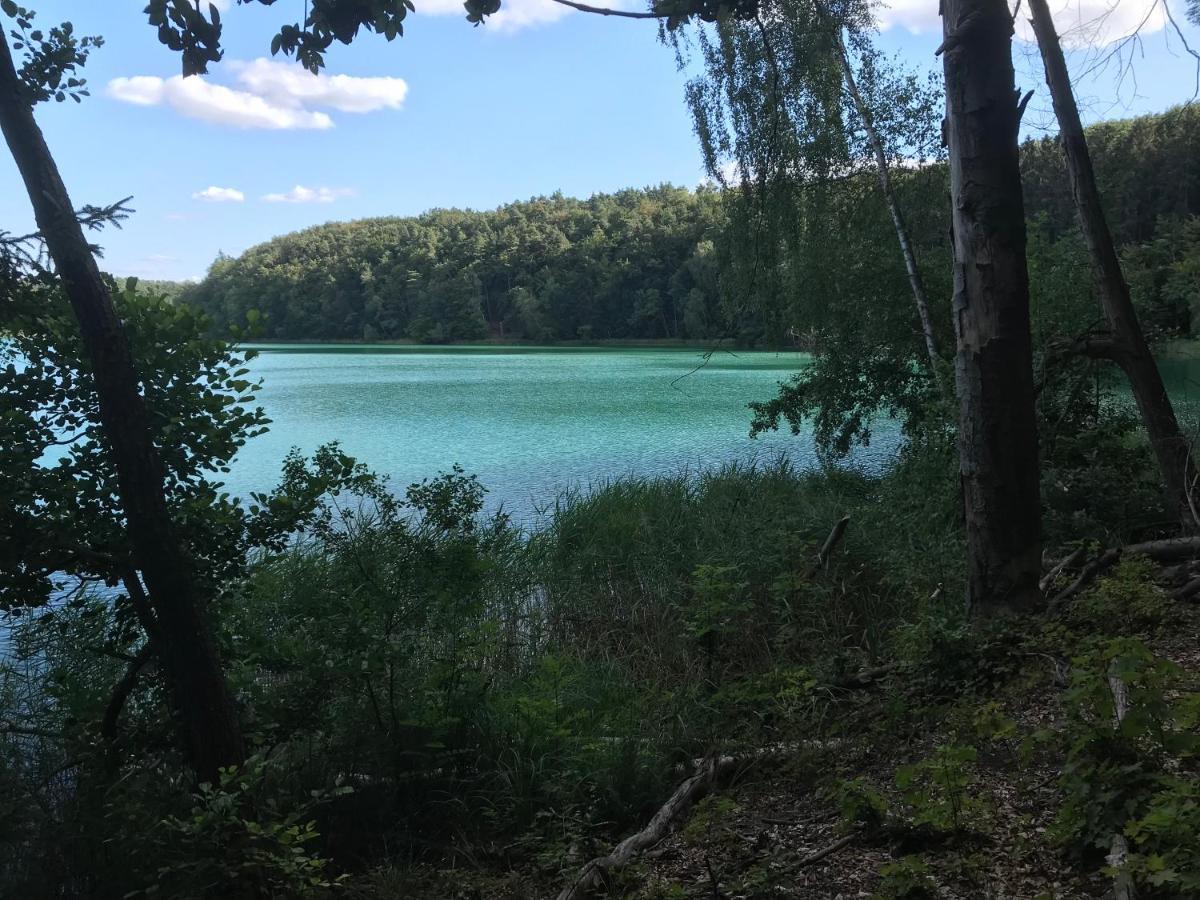 Łagów Agroturystyka "Zielone Zacisze"ヴィラ エクステリア 写真