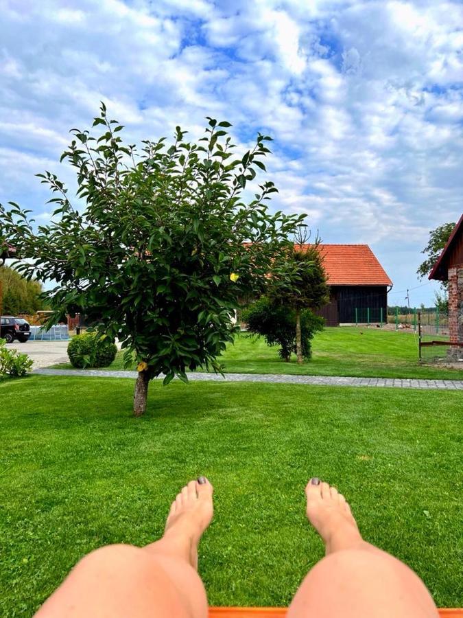 Łagów Agroturystyka "Zielone Zacisze"ヴィラ エクステリア 写真